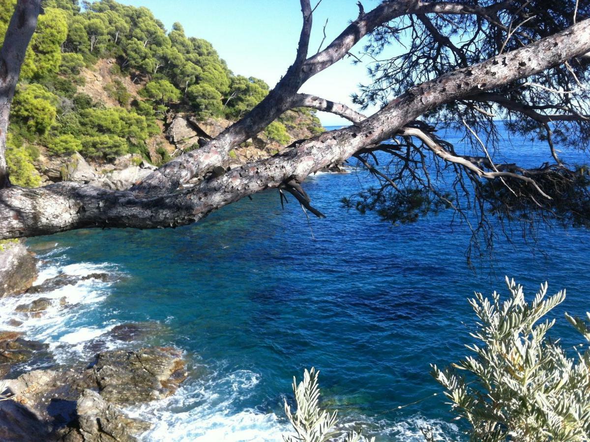 Villa De Vacances Au Calme Proche De La Mer Ла-Лонд-ле-Мор Экстерьер фото